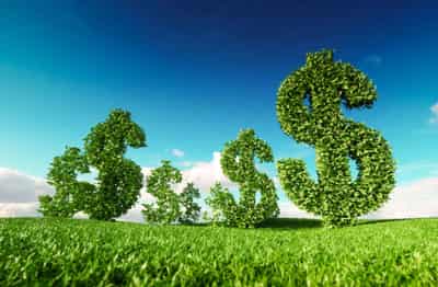 Image for Stepping out in front: how innovative climate benefits are giving banks a competitive advantage in a crowded marketplace