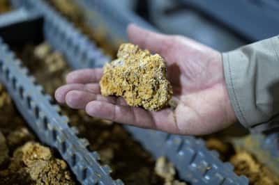 Image for Energy Fuels to buy Germany's VAC as rare earths magnet race heats up
