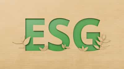 Image for What’s needed for ESG investing to go mainstream?