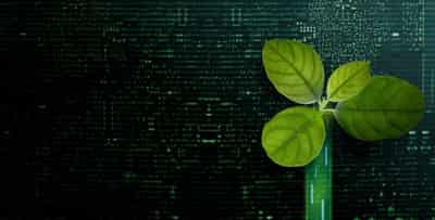 Image for How FinTechs are prioritising ESG