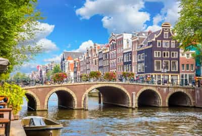 Image for The Netherlands hosts the highest concentration of holding entities worldwide