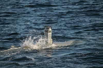 Image for European states buy underwater drones for military use, manufacturer says