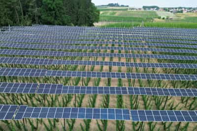 Image for Analysis-A year on, Europe less fearful of U.S. green subsidies push