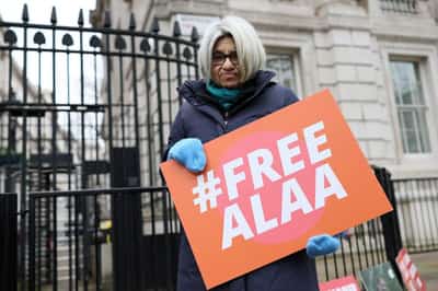 Image for UK 'deeply concerned' about jailed Egyptian-British dissident's hunger-striking mother