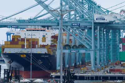 Image for Tariffs linger over earnings, even as companies get used to them