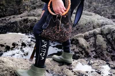 Image for The barnacle, Spaniards’ favourite Christmas dish, imperilled by climate change