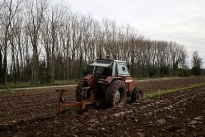 Image for EU eyes grants, subsidies to offset Iran war impact on farming, transport