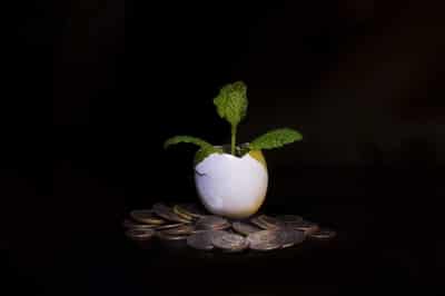 Image for Profiting online is no longer just a pipe dream