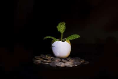 Image for Profiting online is no longer just a pipe dream