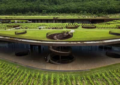 Image for Tuscan winemaker Antinori sees red after $6 million theft