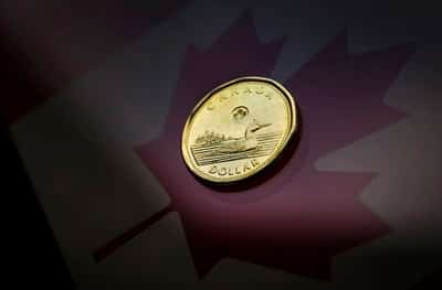 Image for Euro gains after German debt reform; US dollar falls