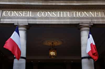 Image for French court vetoes return of controversial pesticide in farming law