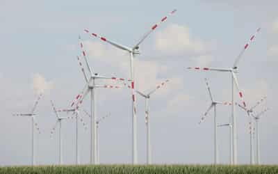 Image for Austria eyes renewables, African gas to cut US LNG dependence, junior minister says