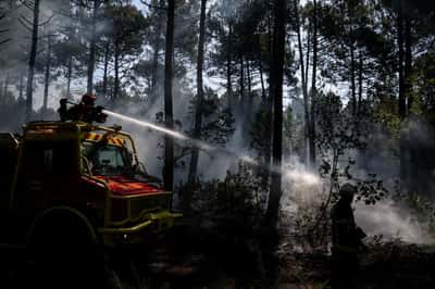 Image for Wildfire response must evolve to keep pace with climate change, EU says