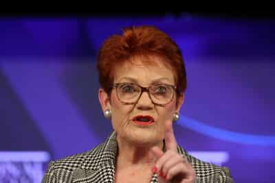 Image for Australian right-wing leader Pauline Hanson loses appeal in racial discrimination case