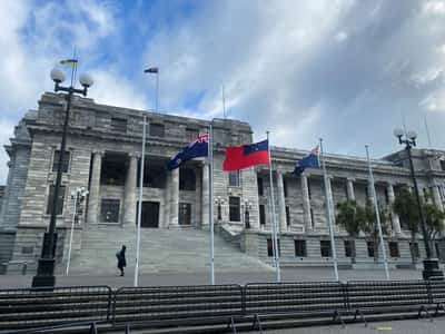 Image for New Zealand politician removed from parliament following comments in Palestinian debate
