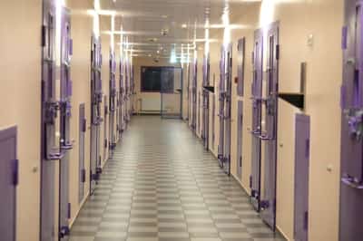 Image for Estonia shows off prison cells awaiting Swedish inmates