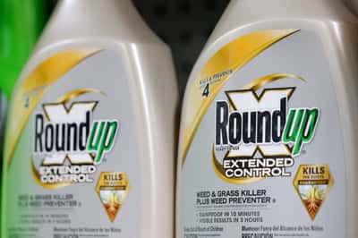 Image for Bayer's Monsanto unit urges Missouri judge to approve $7.25 billion Roundup settlement