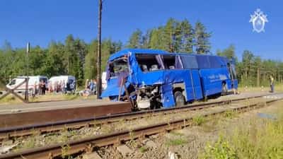 Image for One person killed after bus collides with train in Russia's Leningrad region
