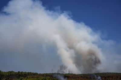 Image for Explainer-France has seen its first 'fire-cloud'. What is it?