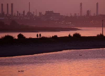 Image for German investor morale improves more than expected in August, ZEW finds