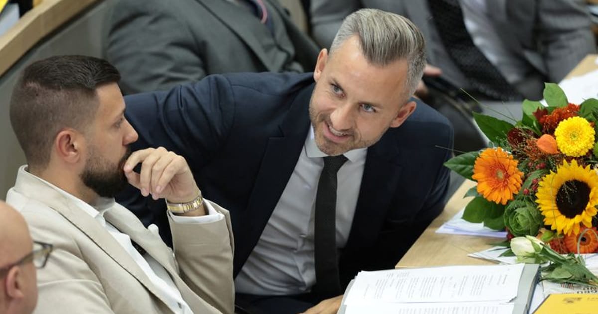 Germany's AfD and BSW Push to End Ukraine Support in Regional Motion