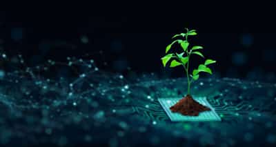 Image for How organisations can align their digital sustainability credentials with existing physical sustainability philosophy