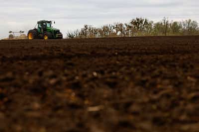 Image for After years of war with Russia, Ukraine's farmers are hit by Iran conflict