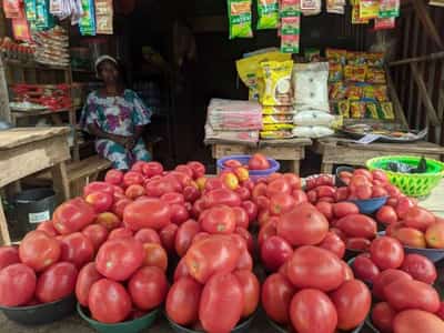 Image for FEATURE-Nigeria’s women shopkeepers forced to scale back as prices soar