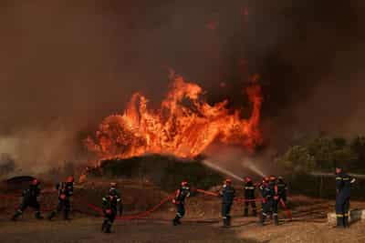 Image for EU to push countries to invest in nature as wildfire costs spiral