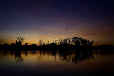 Image for Methane from tropical wetlands is surging, threatening climate plans