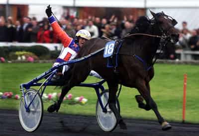 Image for Invincible trotter Varenne, Italy's most famous horse, dies at 31