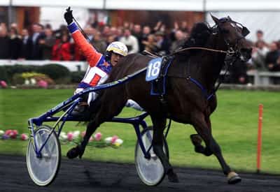 Image for Invincible trotter Varenne, Italy's most famous horse, dies at 31
