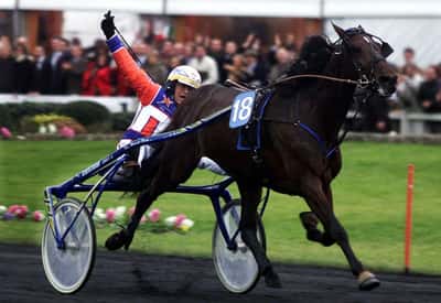 Image for Invincible trotter Varenne, Italy's most famous horse, dies at 31