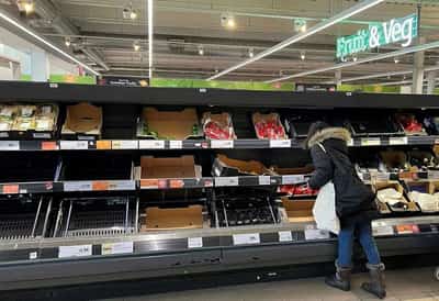 Image for UK supermarket sales growth slows after summer holidays