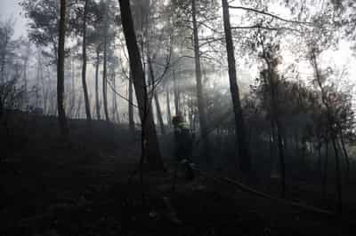 Image for Two dead after wildfire guts house in northern Greece