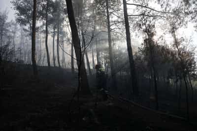 Image for Two dead after wildfire guts house in northern Greece