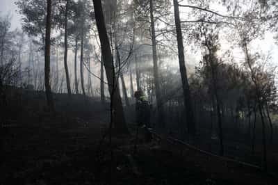 Image for Two dead after wildfire guts house in northern Greece