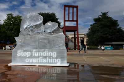 Image for Deal to curb billions in overfishing subsidies comes into force at WTO