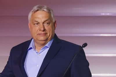 Image for Life after Orban: Hungary Inc digs in as new political era takes hold