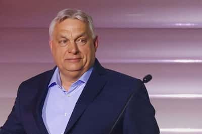 Image for Life after Orban: Hungary Inc digs in as new political era takes hold