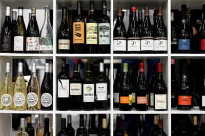 Image for Drought shrivels French wine harvest prospects