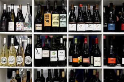 Image for Drought shrivels French wine harvest prospects