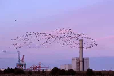 Image for More Irish-British trade diverted via Northern Ireland post-Brexit &#8211; port boss