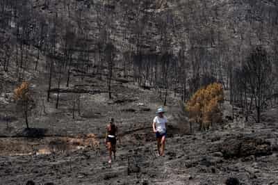 Image for Patchy warnings, outdated plans left victims of Spanish wildfire to fend for themselves