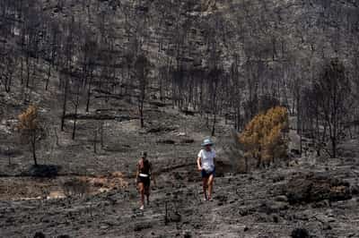 Image for Patchy warnings, outdated plans left victims of Spanish wildfire to fend for themselves