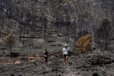 Image for Patchy warnings, outdated plans left victims of Spanish wildfire to fend for themselves