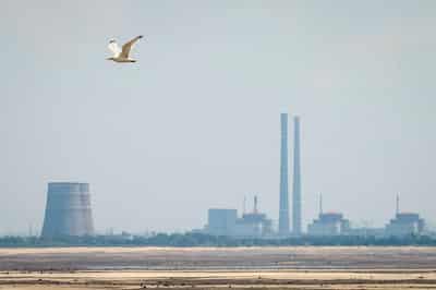 Image for Zaporizhzhia nuclear plant running on single power line, Russia says