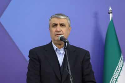 Image for Iran is looking to restore its nuclear industry, Iran's nuclear chief says