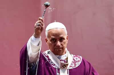 Image for Pope calls for 'deep reflection' in US about migrants' treatment under Trump